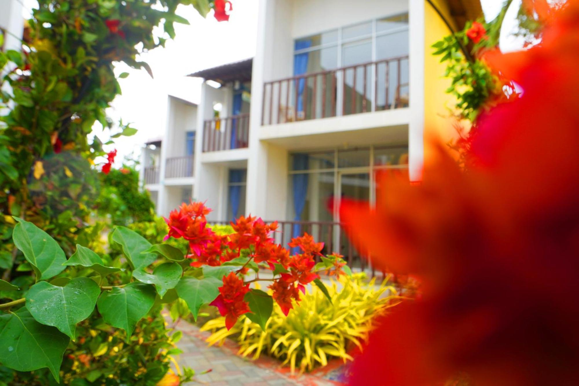 Hotel Canoa'S Wonderland מראה חיצוני תמונה
